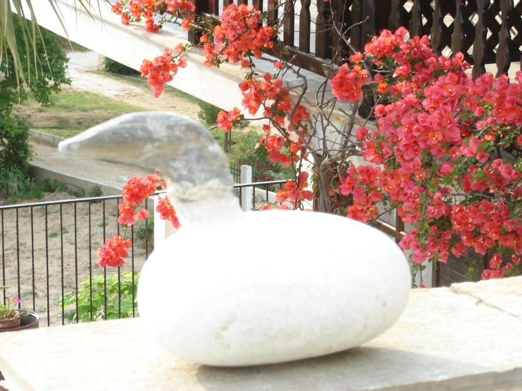 Villa Frideriki Agia Paraskevi  Esterno foto